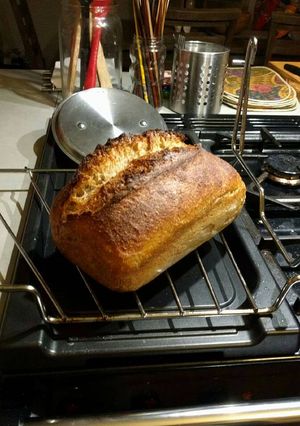A picture of Zombie Bread.
