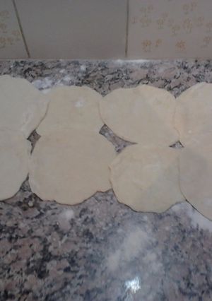 Foto principal de Disco de empanadas