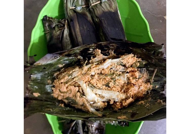 Palai bada (ikan teri basah)