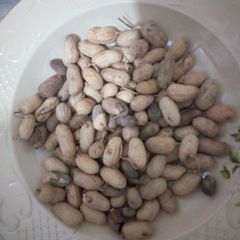 A picture of Gyada.