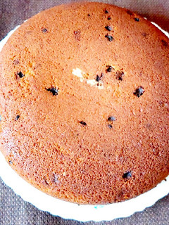 A picture of LEMON RIND VANILLA FRUIT CAKE.