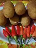 Kroket kasbi