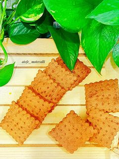 عکسی از دستور کلوچه زنجبیلی سبزوار