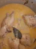 Caril de Frango