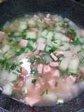 Chinese Winter Melon Soup with Rice 瓜粒湯飯