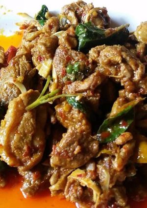 รูปของ ผัดเผ็ดไก่