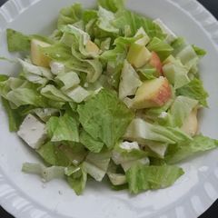 A picture of Apple cheese lettuce salad.