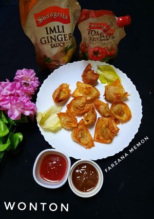 A picture of Wonton.