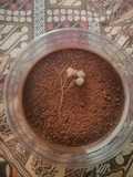 Nasi Choco Mousse