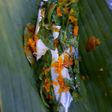 Ikan Kembung Pepes ala magic com