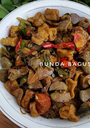 Foto resep Tumis Rempela Ati Tahu
