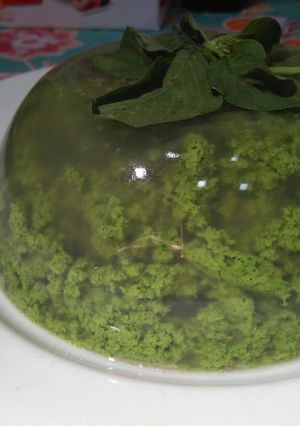 Foto resep Pudding Lumut Bayam