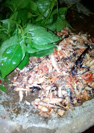 Foto resep Ikan Panggang sambel kencur