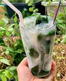 Nước Sương Sâm - Nha Đam đường phèn 🍹