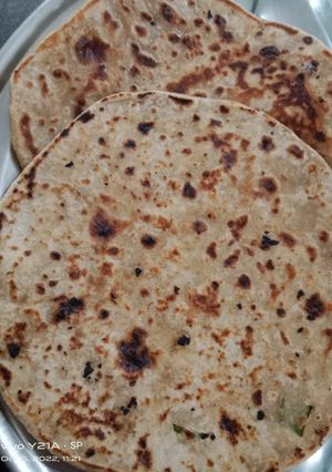 A picture of Sattu paratha.