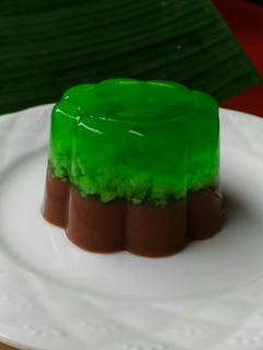 Foto resep Puding Lumut-Coklat