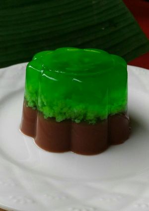 Foto resep Puding Lumut-Coklat