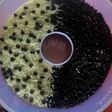 Puding Coklat Vla Vanila