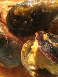 Cozze ripiene al  guazzetto di pomodoro