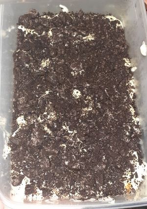 Foto resep Oreo cheesecake