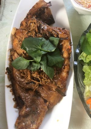 Hình của món Cá điêu hồng nướng.