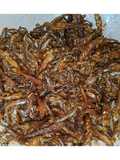 Sambal Kering Ikan Bilis Lada Putih (Made Frm Sabah)