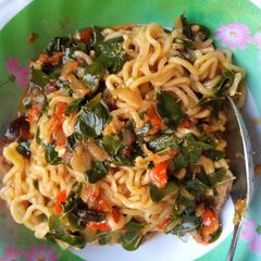 A picture of Indomi and zogala.