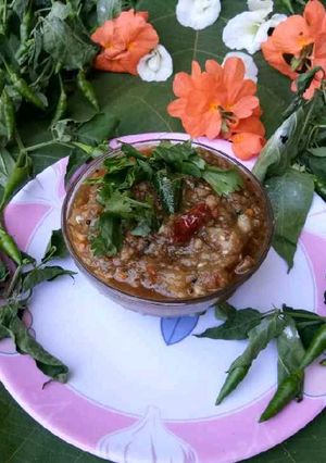 A picture of Charcoal Roasted Brinjal Raita.