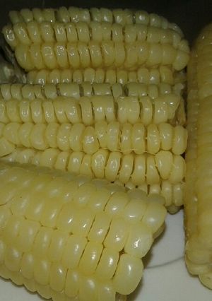 A picture of Soft boiled corn.