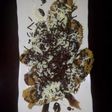 Pisang royal