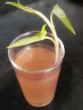 น้ำผักบุ้งแดงล้างพิษโลหะหนัก Wild Morning Glory Detox Tea