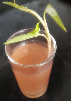 รูปของ น้ำผักบุ้งแดงล้างพิษโลหะหนัก Wild Morning Glory Detox Tea