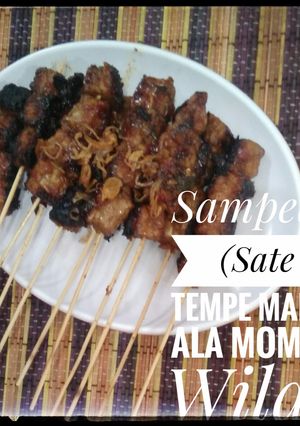 Foto resep Sate Tempe Madu (Sampedu)