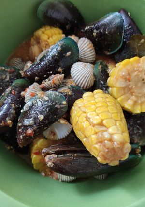 Foto resep Kerang Ijo dan Kerang Darah Saus Padang Gurih Pedas