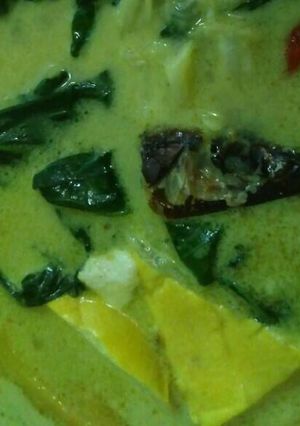 Foto resep Sayur Gedi Kuah Santan Aroma Ikan Roa