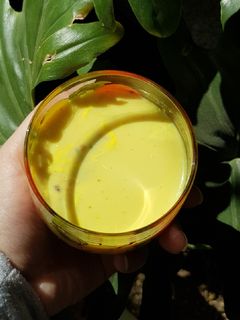 عکسی از دستور شیر طلایی