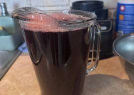 Agua de Jamaica