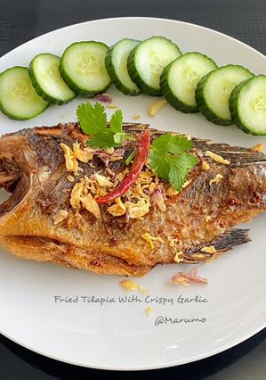 A picture of Fried Tilapia With Crispy Garlic.