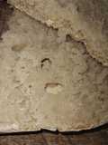 Pan de masa madre!!