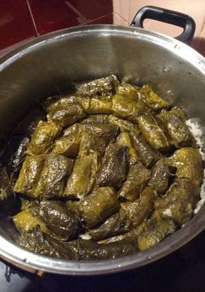 Φωτογραφία της συνταγής Ντολμαδάκια γιαλαντζί 😋