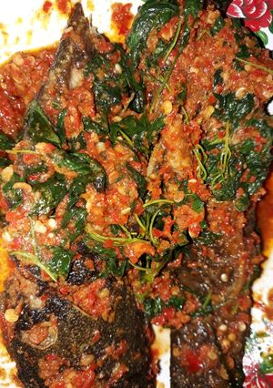 Foto resep Lele kemangi