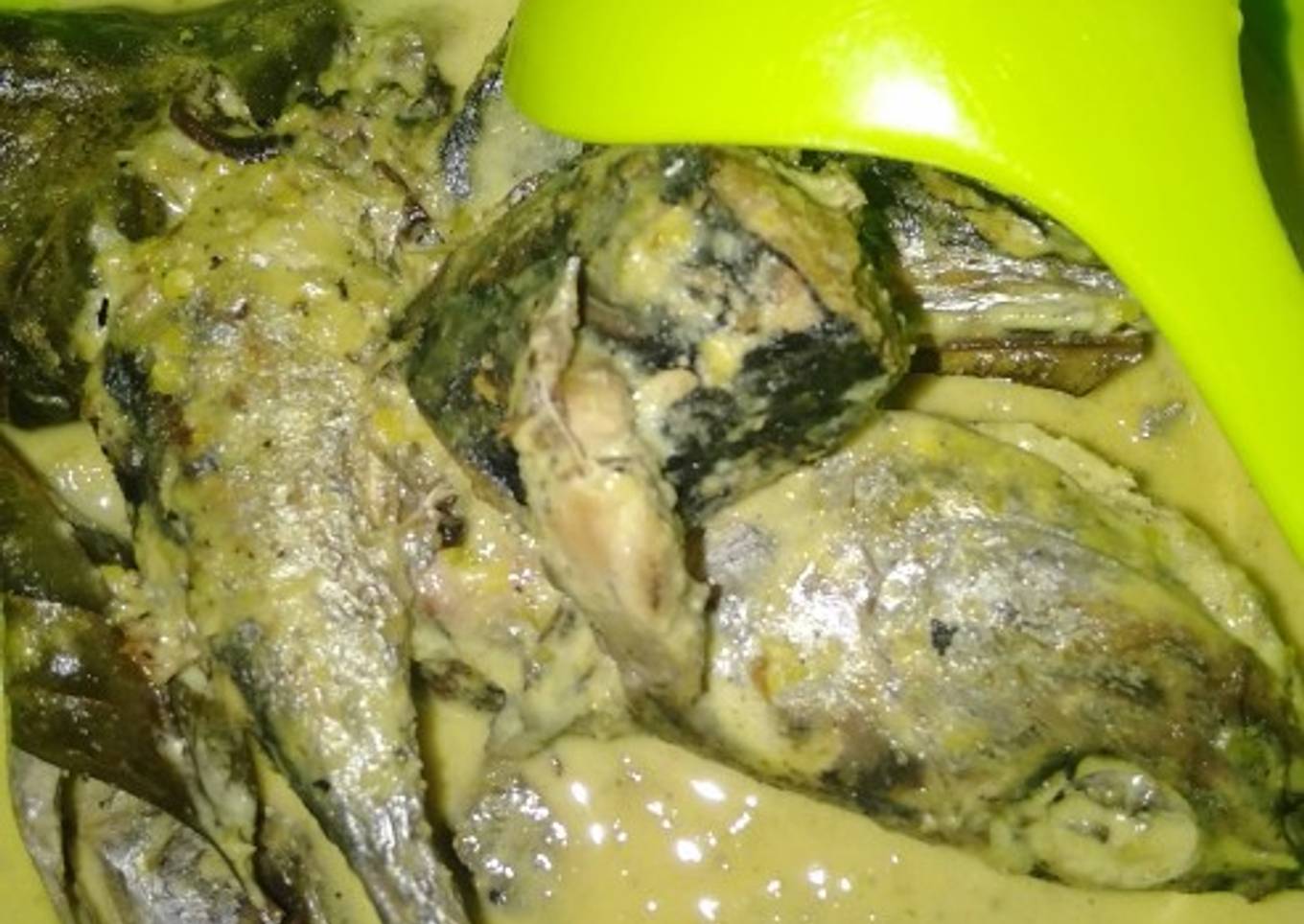 Gulai ikan tongkol special