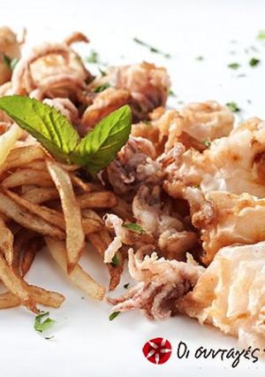 A picture of Fried calamari with chips.