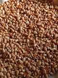 Kacang Bawang Goreng