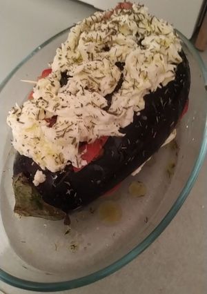 Une photo de Aubergine éventail mozza tomate