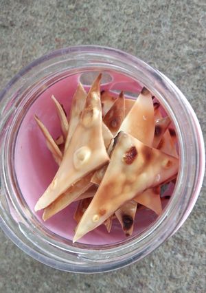 Foto resep Keripik Keju DEBM