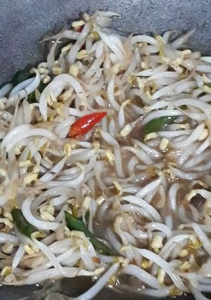 Foto resep 5. Tumis Tauge / Toge