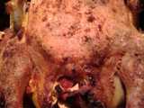 stuffed roast chicken