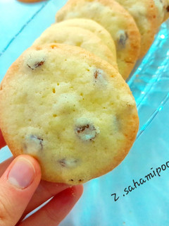 عکسی از دستور شیرینی کشمشی🍪