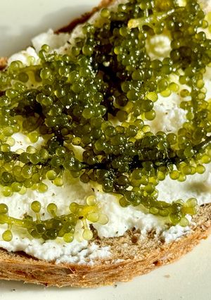 Hình của món Bánh Mì Quét Phô Mai Ricotta Rong Nho.